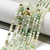 Natural Serpentine Beads Strands G-G161-D24-01-2