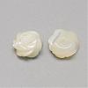 Natural White Shell Mother of Pearl Shell Cabochons SSHEL-R042-11-2