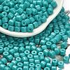 Baking Paint Pearlized Glass Seed Beads SEED-C001-04A-06-1