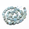 Natural Larimar Beads Strands G-R445-8x10-15-2