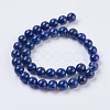 Natural Lapis Lazuli Beads Strands G-G423-10mm-A-2