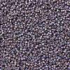 MIYUKI Delica Beads X-SEED-J020-DB1067-3