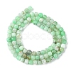 Natural Chrysoprase Beads Strands G-F748-F01-01B-3