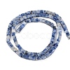 Natural Blue Spot Jasper  Beads Strands G-B129-A10-01-3