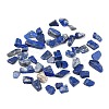 Natural Lapis Lazuli Beads G-I304-02-1