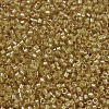 MIYUKI Delica Beads SEED-X0054-DB0911-3