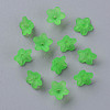 Transparent Acrylic Beads PL554-13-4