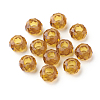 Glass European Beads LS-X-GDA007-13-2