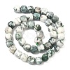 Natural Tree Agate Beads Strands G-C267-A18-3