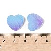 Imitation Candy Food Style Resin Cabochons RESI-R461-01J-3
