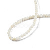 Natural White Shell Bead Strands SSHEL-N003-144A-01-4