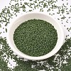 MIYUKI Delica Beads X-SEED-J020-DB1585-2