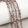 Natural Smoky Quartz Beads Strands G-A303-A04-01-1