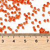 Transparent Glass Seed Beads SEED-S042-21B-04-4
