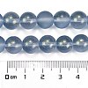 Frosted Transparent Glass Bead Strands GLAA-P065-10mm-10-3