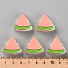 Transparent Enamel Acrylic Beads TACR-S155-001C-4