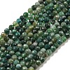 Natural Moss Agate Beads Strands G-K020-3mm-32-2