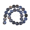 Natural Sodalite Beads Strands G-L648-B07-15mm-4