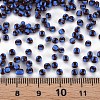 8/0 Glass Seed Beads SEED-S006-2-4