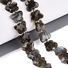 Natural Labradorite Beads Strands G-N371-10A-01-1