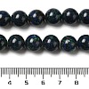 Natural Azurite Beads Strands G-H298-A01-04-5