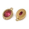 Ion Plating(IP) 304 Stainless Steel Micro Pave Cubic Zirconia Charms STAS-K256-19G-04-2