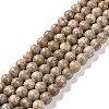 Natural Maifanite/Maifan Stone Beads Strands G-I187-6mm-01-1