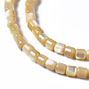 Natural Trochid Shell/Trochus Shell Beads Strands SSHEL-N034-77-B01-3