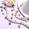 Natural Flower Amazonite Beads Strands G-G692-01F-8mm-6