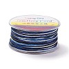 Segment Dyed Polyester Thread X-NWIR-I013-D-16-1