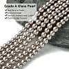 Eco-Friendly Dyed Glass Pearl Beads Strands HY-A008-6mm-RB017-3