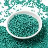 MIYUKI Round Rocailles Beads X-SEED-G008-RR0412-2