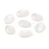 Natural Freshwater Shell Cabochons BSHE-G036-10A-1