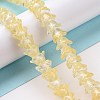 Transparent Glass Beads Strands LAMP-H061-01C-06-2