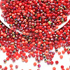 Electroplate Glass Beads GLAA-D020-01D-1