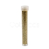 Plastic Glitter Powder Fillers LS-AJEW-H144-01A-2