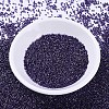 MIYUKI Delica Beads SEED-J020-DB0464-2