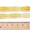 Natural Agate Beads Strands G-Z144-A02-01C-5