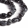 Natural Snowflake Obsidian Beads Strands G-D0002-D60-3