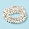 Natural Cultured Freshwater Pearl Beads Strands PEAR-E018-99-3