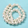 Natural Cultured Freshwater Pearl Beads Strands PEAR-E017-17-3