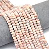 Natural Red Netstone Beads Strands G-P575-A15-6x4mm-1