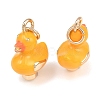 Brass Enamel Pendants KK-L275-38G-2