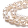 Natural Cultured Freshwater Pearl Beads Strands PEAR-L033-66-01-2