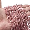 Natural Madagascar Rose Quartz Beads Strands G-I389-A03-1