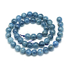 Natural Apatite Beads Strands G-S150-18-10mm-3