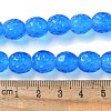 Handmade Lampwork Beads Strands LAMP-Z011-01H-4