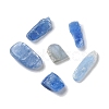 Natural Kyanite/Cyanite/Disthene Chip Beads Beads G-L588-01-2