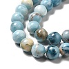 Natural Gemstone Beads Strands G-F730-02B-4