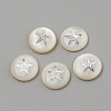 Natural Freshwater Shell Beads SHEL-Q011-008P-1